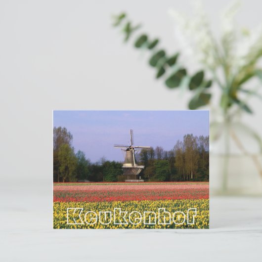 Blume im Keukenhof, Weinmühle und Bulbfields Postkarte (Stehend Vorderseite)