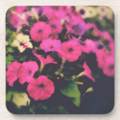 Blume im Lebensmittelgeschäft Getränkeuntersetzer (Vorderseite)