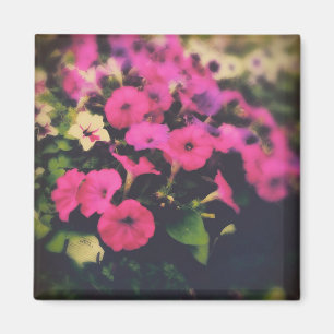 Blume im Lebensmittelgeschäft Magnet