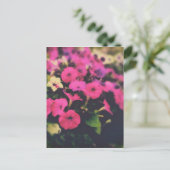 Blume im Lebensmittelgeschäft Postkarte (Stehend Vorderseite)