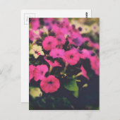 Blume im Lebensmittelgeschäft Postkarte (Vorne/Hinten)