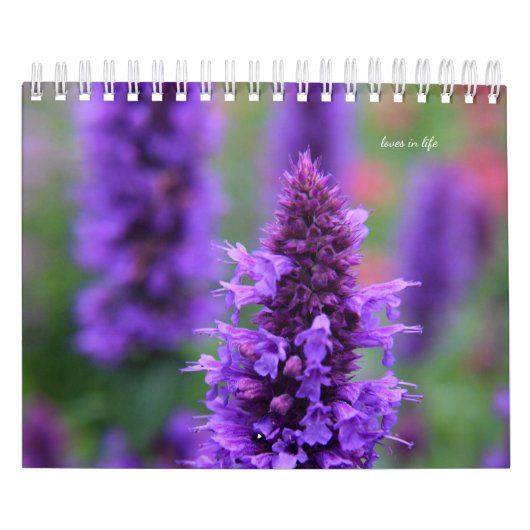 Blume im lila Garten Kalender (Titelbild)