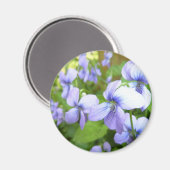 Blume im lila Garten Magnet (Vorderseite/Rückseite)