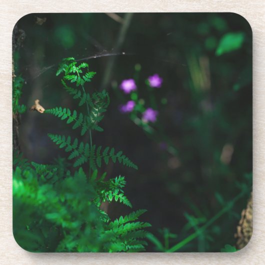 Blume im Lila Wasserwald Fern Getränkeuntersetzer (Vorderseite)