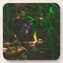 Blume im Lila Wasserwald Fern