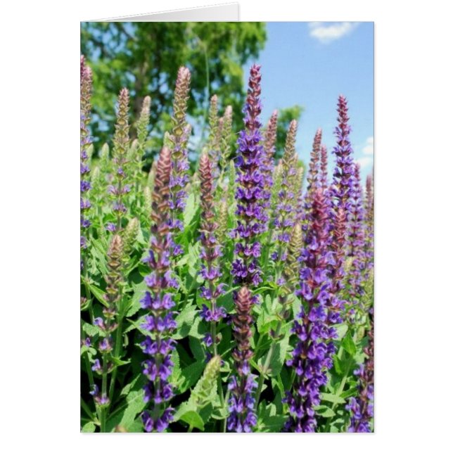 Blume im Luftraum (Vorne)