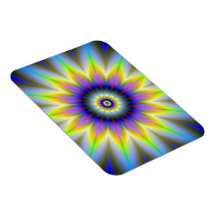 Blume im Magnet Blume Foto