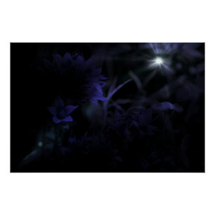 Blume im Mondlicht Poster