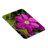 Blume im Robinette's Apple Haus & Gift Barn Magnet (Rechte Seite)