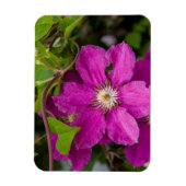 Blume im Robinette's Apple Haus & Gift Barn Magnet (Vertikal)