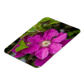 Blume im Robinette's Apple Haus & Gift Barn Magnet (Linke Seite)