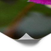 Blume im Robinette's Apple Haus & Gift Barn Poster (Ecke)