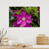 Blume im Robinette's Apple Haus & Gift Barn Poster (Küche)