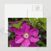 Blume im Robinette's Apple Haus & Gift Barn Postkarte (Vorne/Hinten)