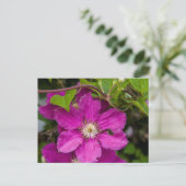Blume im Robinette's Apple Haus & Gift Barn Postkarte (Stehend Vorderseite)