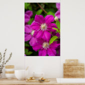 Blume im Robinette's Apple Haus und Gift Barn 2 Poster (Küche)