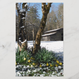 Blume im Schnee