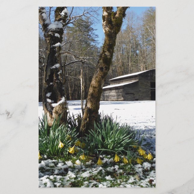 Blume im Schnee (Vorderseite)