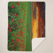 BLUME IM SUNSET SHERPADECKE (Vorderseite)