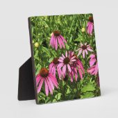 Blume im Weingut Chateau Morrisette, Floyd, VA Fotoplatte (Vorderseite)