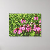 Blume im Weingut Chateau Morrisette, Floyd, VA Leinwanddruck (Vorderseite)