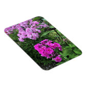 Blume im Weingut Chateau Morrisette, Floyd, VA Magnet (Rechte Seite)