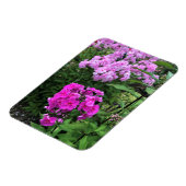 Blume im Weingut Chateau Morrisette, Floyd, VA Magnet (Linke Seite)