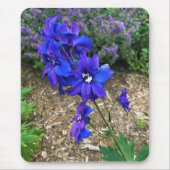 Blume im Weingut Chateau Morrisette, Floyd, VA Mousepad (Vorne)