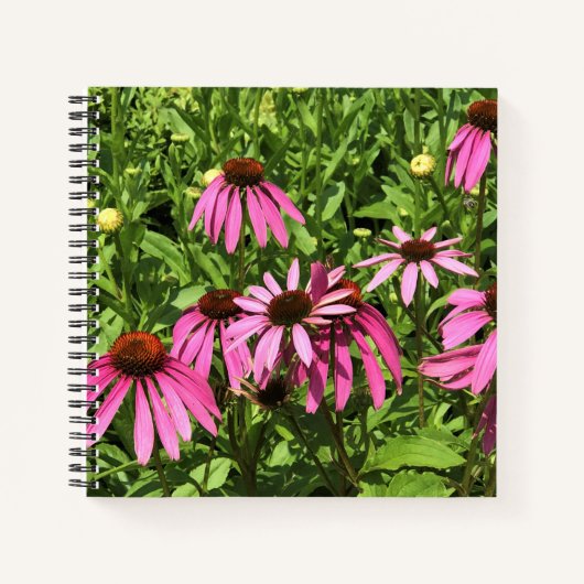 Blume im Weingut Chateau Morrisette, Floyd, VA Notizblock (Vorderseite)