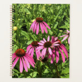 Blume im Weingut Chateau Morrisette, Floyd, VA Planer (Vorderseite)