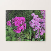 Blume im Weingut Chateau Morrisette, Floyd, VA Puzzle (Horizontal)