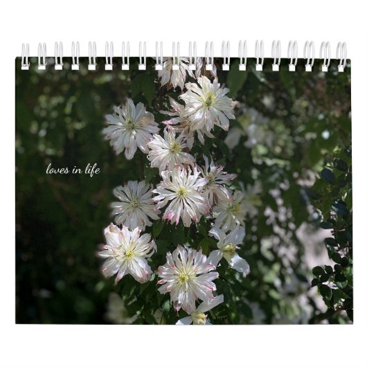 Blume im Weißen Garten Kalender (Titelbild)