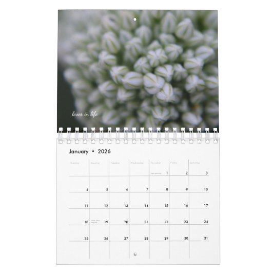 Blume im Weißen Garten Kalender (Jan 2026)