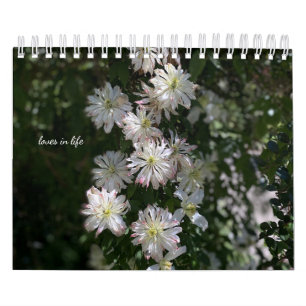 Blume im Weißen Garten Kalender