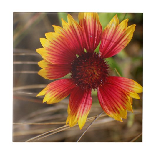 Blume im Wind Fliese (Vorderseite)