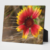 Blume im Wind Fotoplatte (Seite)