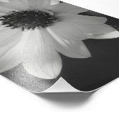 Blume in B/W Fotodruck (Ecke)