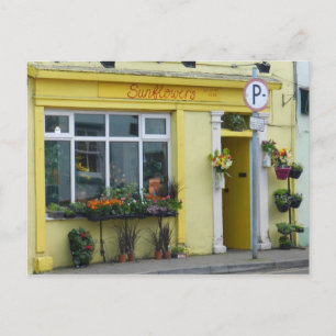 Blume in Birr - Irland Postkarte