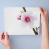 Blume in blassrosa flyer (Hand)