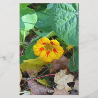 Blume in Blättern Briefpapier