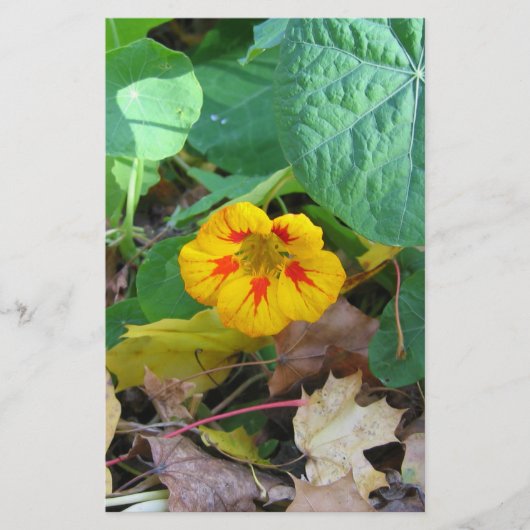 Blume in Blättern Briefpapier (Vorderseite)