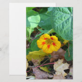 Blume in Blättern Briefpapier (Vorne/Hinten)