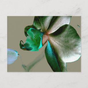 Blume in Blau, Grün und Grau Postkarte
