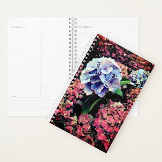 Blume in Blau und Rosa Planer (Anzeige)
