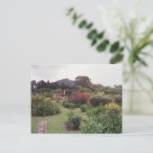 Blume in Boquete Postkarte (Stehend Vorderseite)