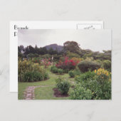 Blume in Boquete Postkarte (Vorne/Hinten)