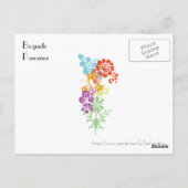 Blume in Boquete Postkarte (Rückseite)