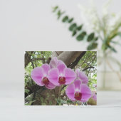 Blume in Chiang Mai Thailand Postkarte (Stehend Vorderseite)