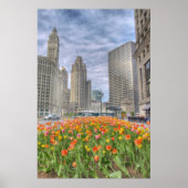 Blume in Chicago Poster (Vorne)