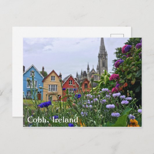 Blume in Cobh, Irland Postcard Postkarte (Vorne/Hinten)